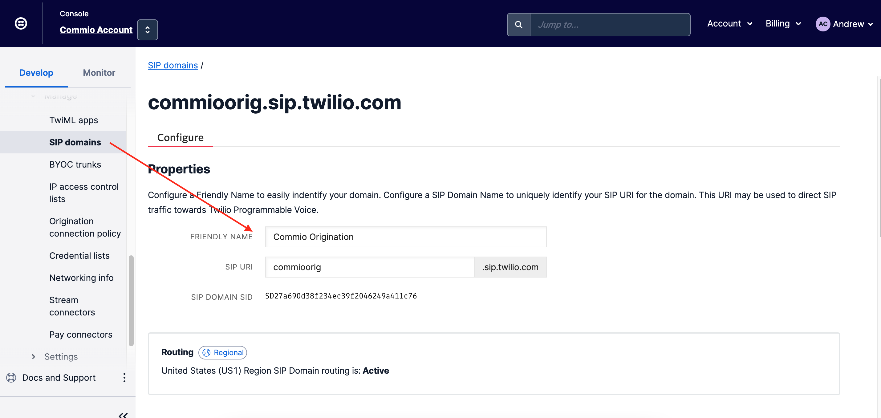 New Termination SIP Domain Twilio